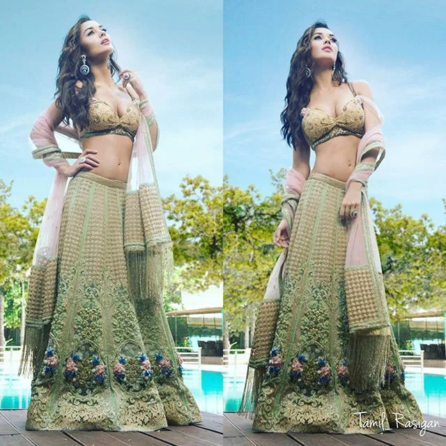 Hot Amy jackson in saree pictures