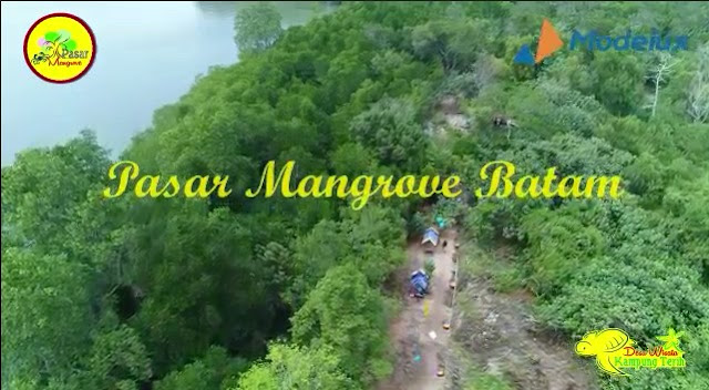 Desa Wisata Kampung Terih, Festival Kampung Terih, Pasar Mangrove Batam