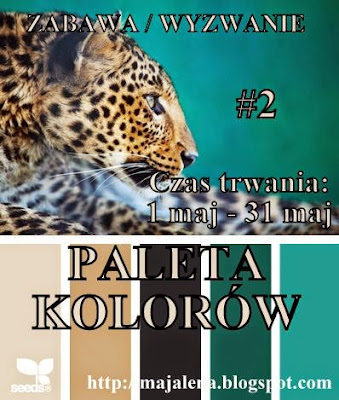 http://majalena.blogspot.ie/2015/05/paleta-kolorow-zabawa-wyzwanie-2.html