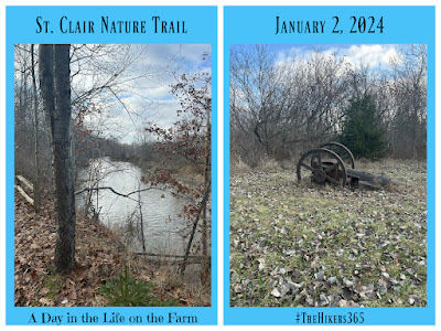 Hiking Trail Scenery