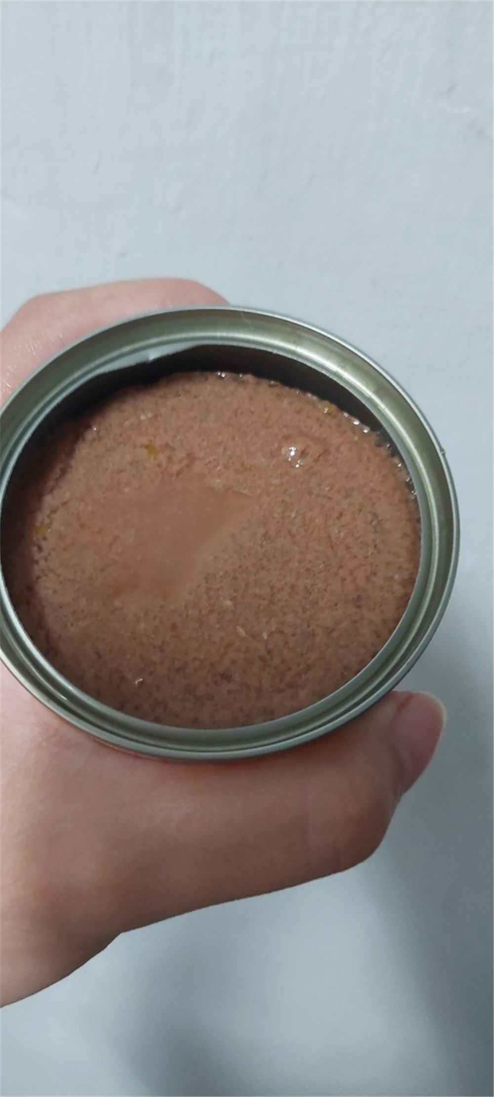 寵物｜ WERUVA唯美味貓咪PATE肉泥主食罐，貓咪主食罐