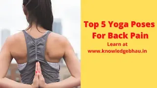 Top 5 Yoga Poses For Back Pain