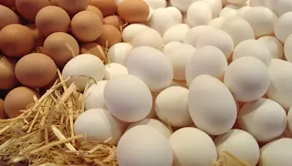 للبيض البلدى فوائد كتيره