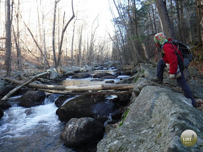 QuercusMx disfrutando del Stony Brook Creek