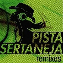 Download CD Pista Sertaneja Remixes 2011