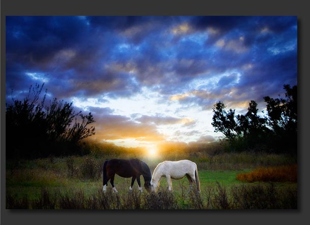 paisajes de amor. El paisaje