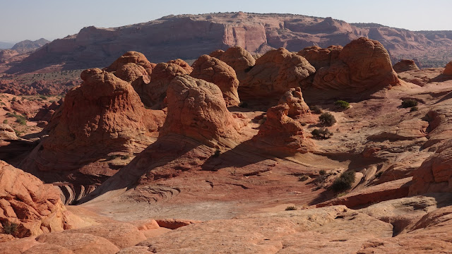 Brain Rocks, Coyote Buttes North