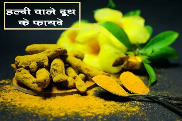 हल्दी दूध के फायदे, उपयोग और नुकसान Haldi Doodh (Turmeric Milk ) Benefits in hindi