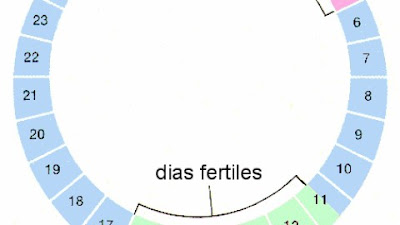 calculadora fertilidad