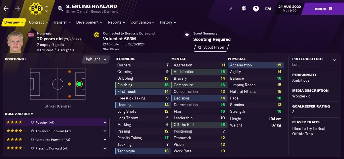 Erling Haaland Football Manager 2021