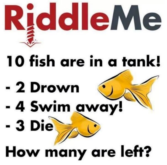 Almost NO ONE Could Solve This Riddle. Are You Able To Outsmart The Rest?