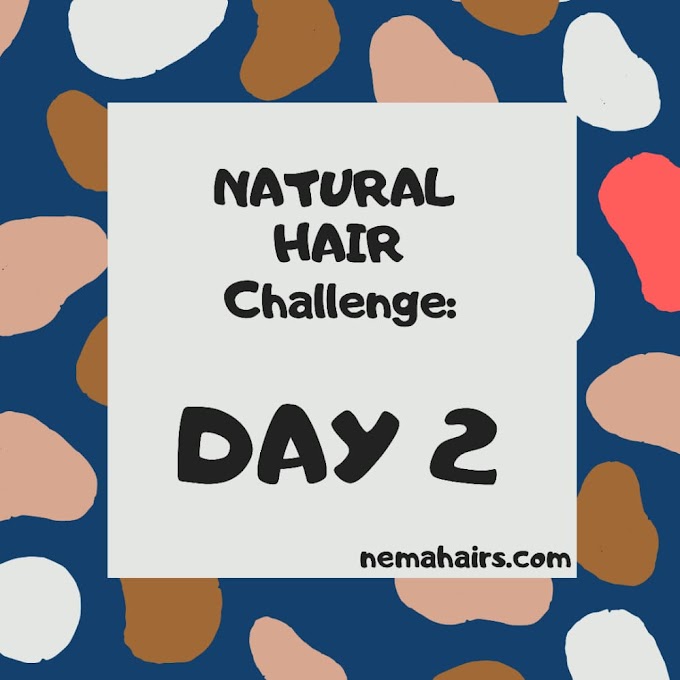 NATURAL HAIR CHALLENGE : DAY 2