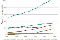 Global Meat Production, 1961-2009
