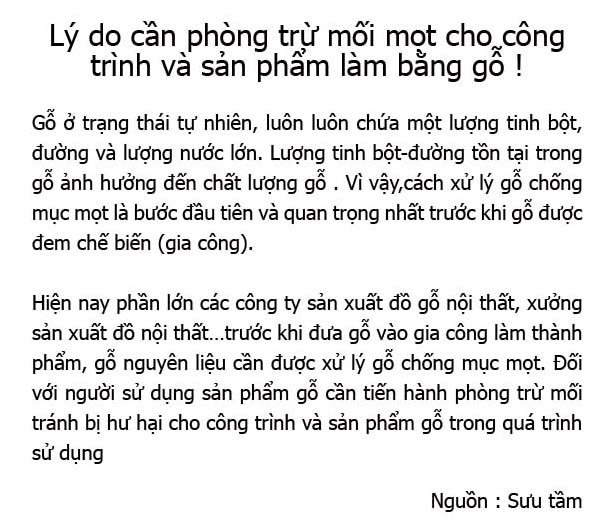 Lý do cần phòng trừ mối mọt cho công trình và sản phẩm làm bằng gỗ