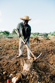 What is soil erosion and soil degradation.  Discuss the causes of soil erosion.