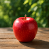 Is the SS2 Apple Good for You? Unpacking its Low-Glycemic Benefits