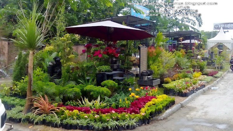 25+ Ide Populer Bunga Taman Hias
