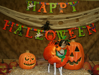 Homemade Halloween Decoration Ideas