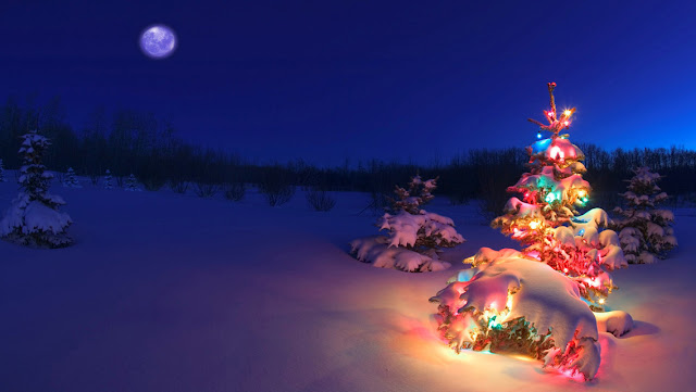 Free Download Christmas Tree HD Wallpapers for iPhone 5 - Christmas Tree with Snow and Lights