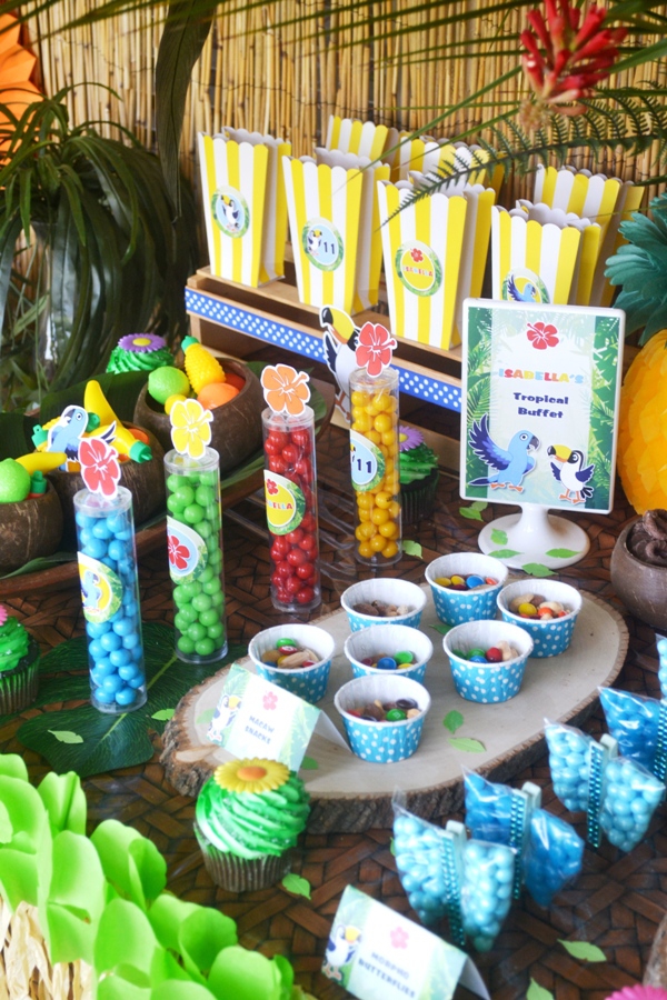 Rio 2 Movie  Inspired Birthday  Party  Party  Ideas  Party  