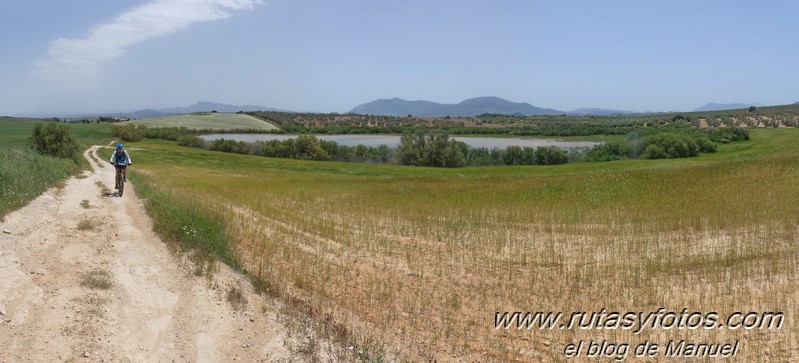 Laguna de Fuente de Piedra y Lagunas de Campillos