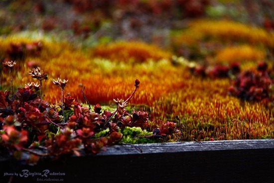 20111101_tid2