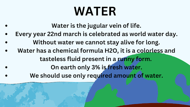Water Essay For Students 500 words