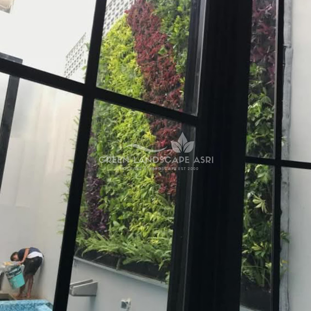 Tukang Vertical Garden Probolinggo - Jasa Taman Vertikal Berpengalaman Tukang Vertical Garden Probolinggo - Jasa Taman Vertikal Berpengalaman