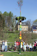 Zum ersten Mal wurde in unserem Ortsteil Dittersbach ein Maibaum gesetzt. (maibaum )