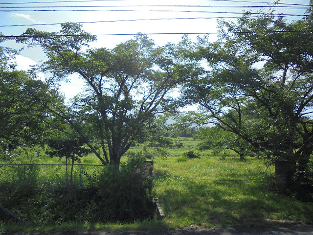 藍野公民館の隣の公園