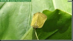 20140808_110356_052_FuYang_Park