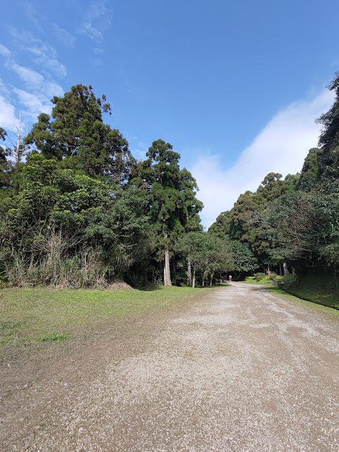 東眼山國家森林遊樂區 - 林道