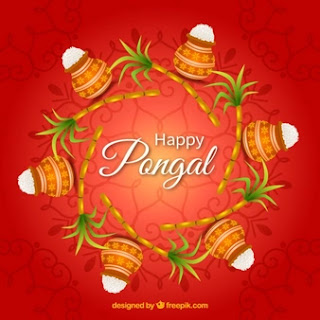 50 happy pongal greeting