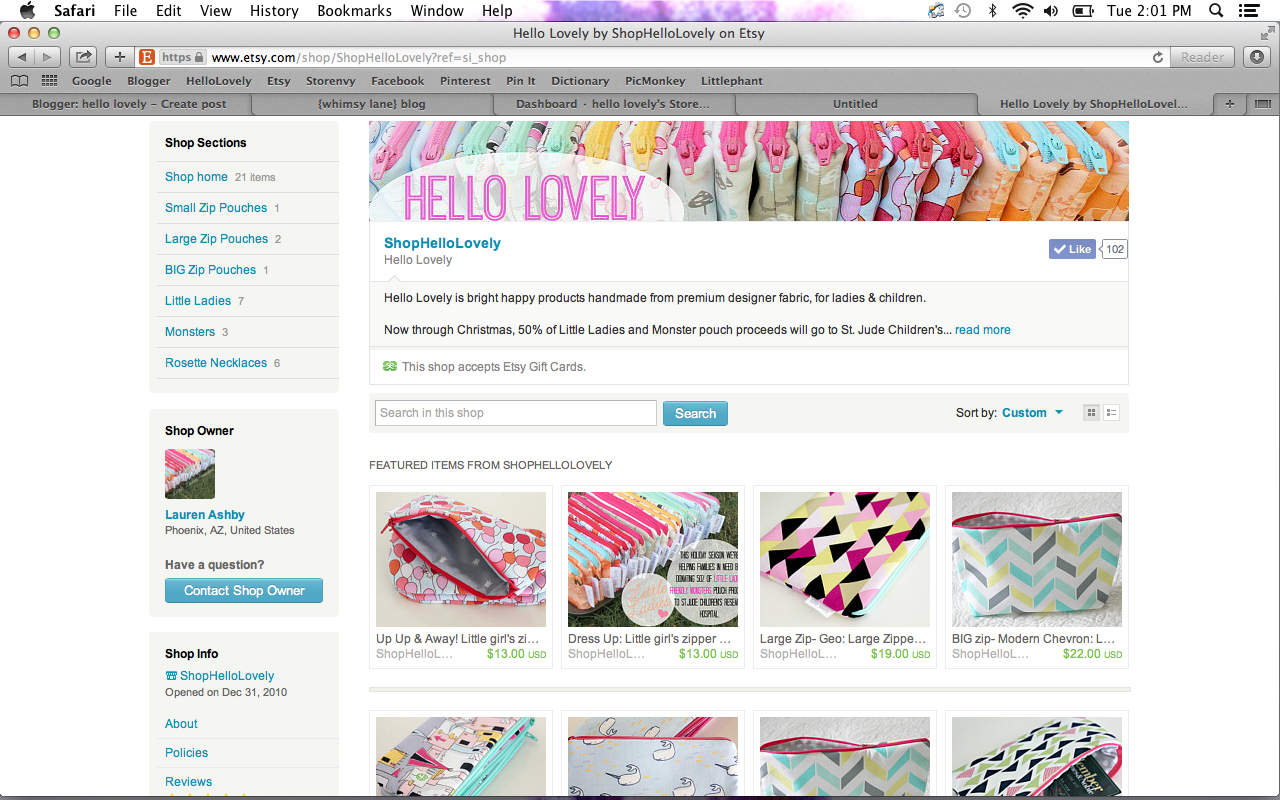 Screenshot of what a storefront looks like on Etsy