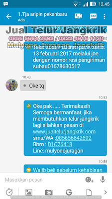 Testimoni 2 Jualan Telur Jangkrik Laris Pelanggan Bahagia