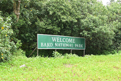 Trip To Sarawak Part 2: Ke Bako National Park dan Siniawan Old Town