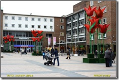Coventry D800  22-02-2013 13-22-54
