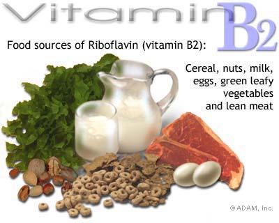 ChyntiaBlog: Sumber Makanan yang Mengandung Vitamin