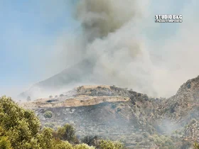 Πέρασε μέσα από τον αρχαιολογικό χώρο η πυρκαγιά στις Μυκήνες