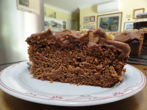 Yoghurt chocolate cake