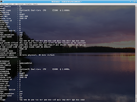 catacterísticas del cpu en linux 