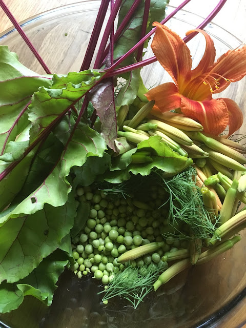 beets greens, peas, dill, and daylilies picked fresh in a big bowl