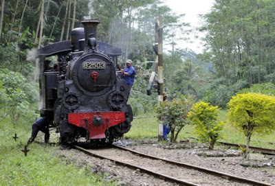 Keunikan Wisata Loko Lori di Jember - Keindahan dari Loko Lori 