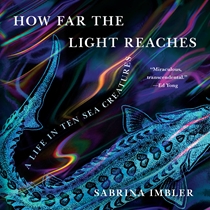 Audiobook Review: How Far the Light Reaches by Sabrina Imbler