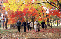 Autumn Korea3