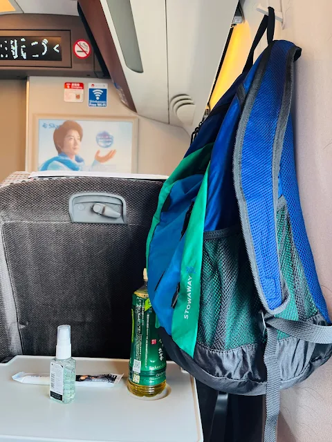 Review: Japan Bullet Train Shinkansen Green Car From Tokyo to Kyoto & Osaka