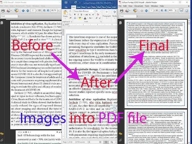 I will convert PDF the image to typing Word and PDF.