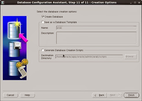 Oracle Database 11g Installation in Linux 6.2