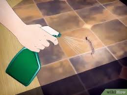 How to get rid of house centipedes