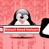 Discord-Based Malware Attacking Orgs Linux Systems In India